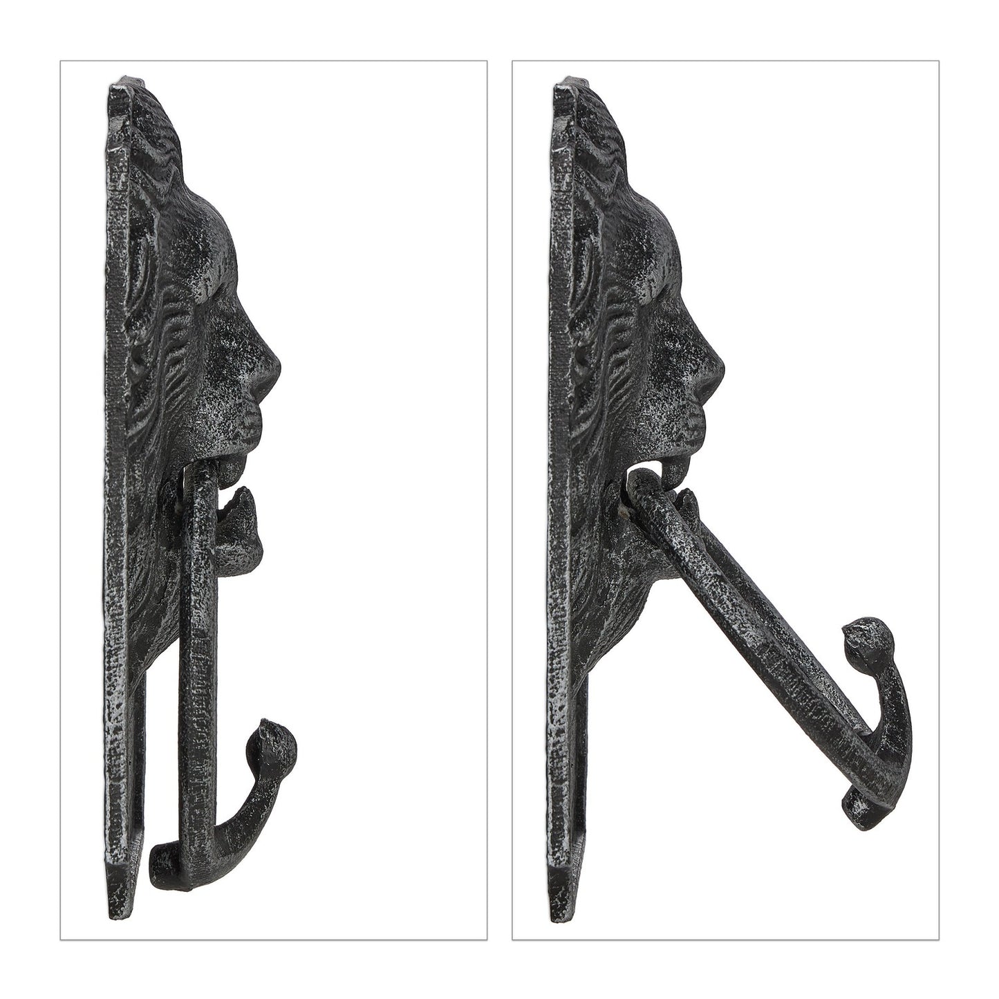Door knocker lion