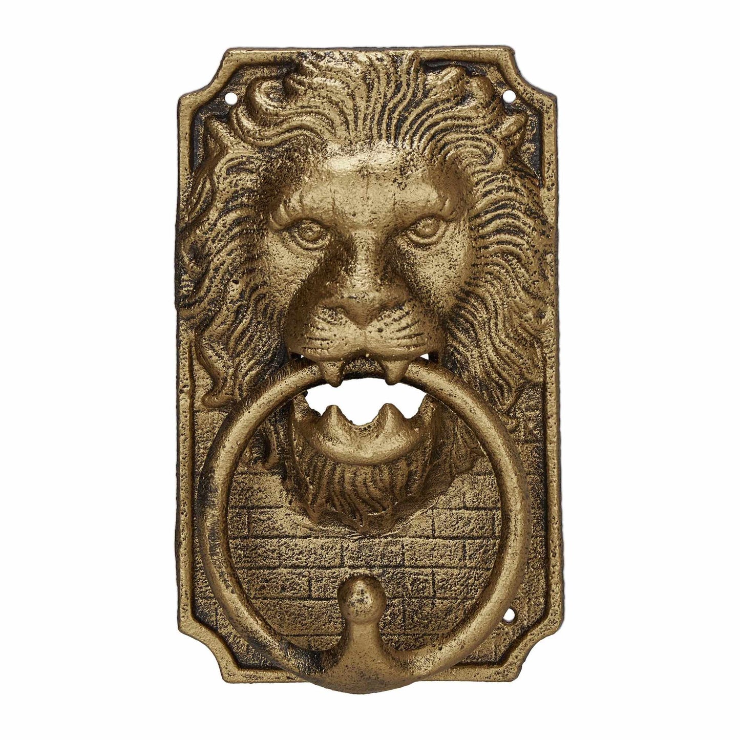 Door knocker lion