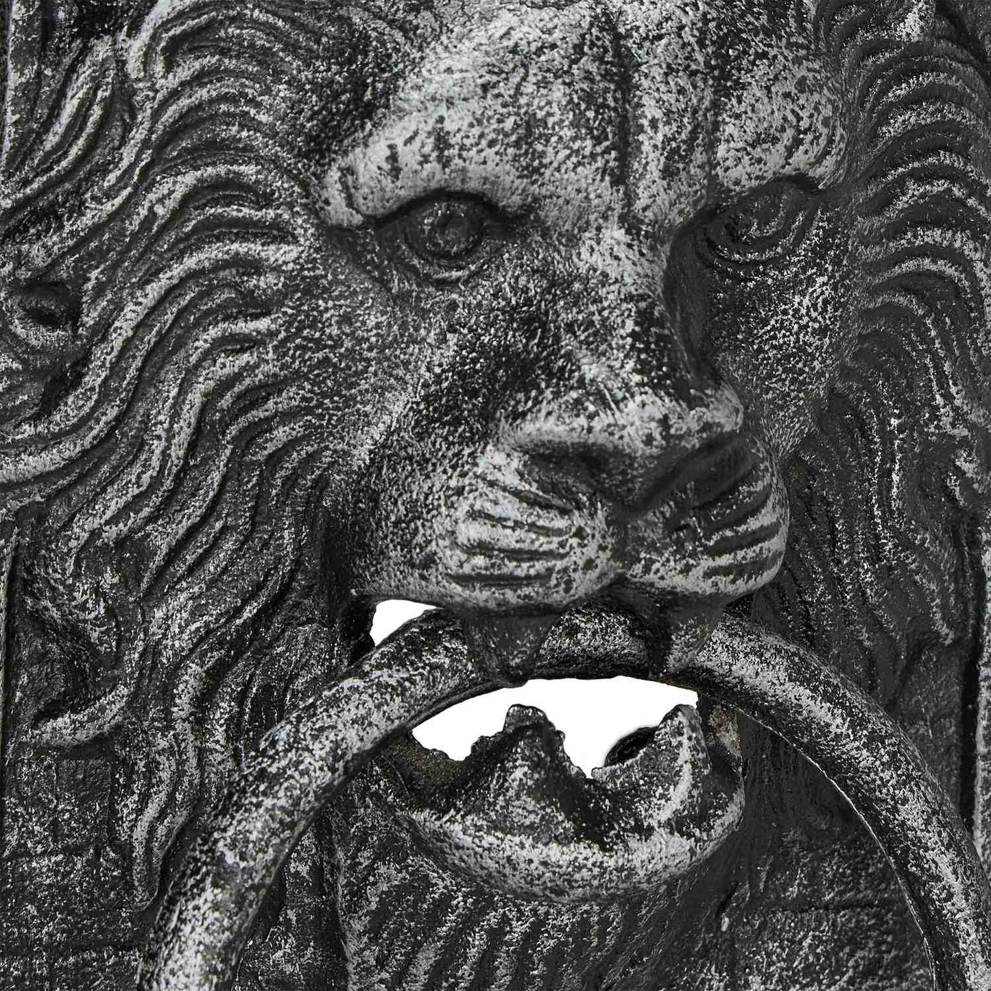 Door knocker lion