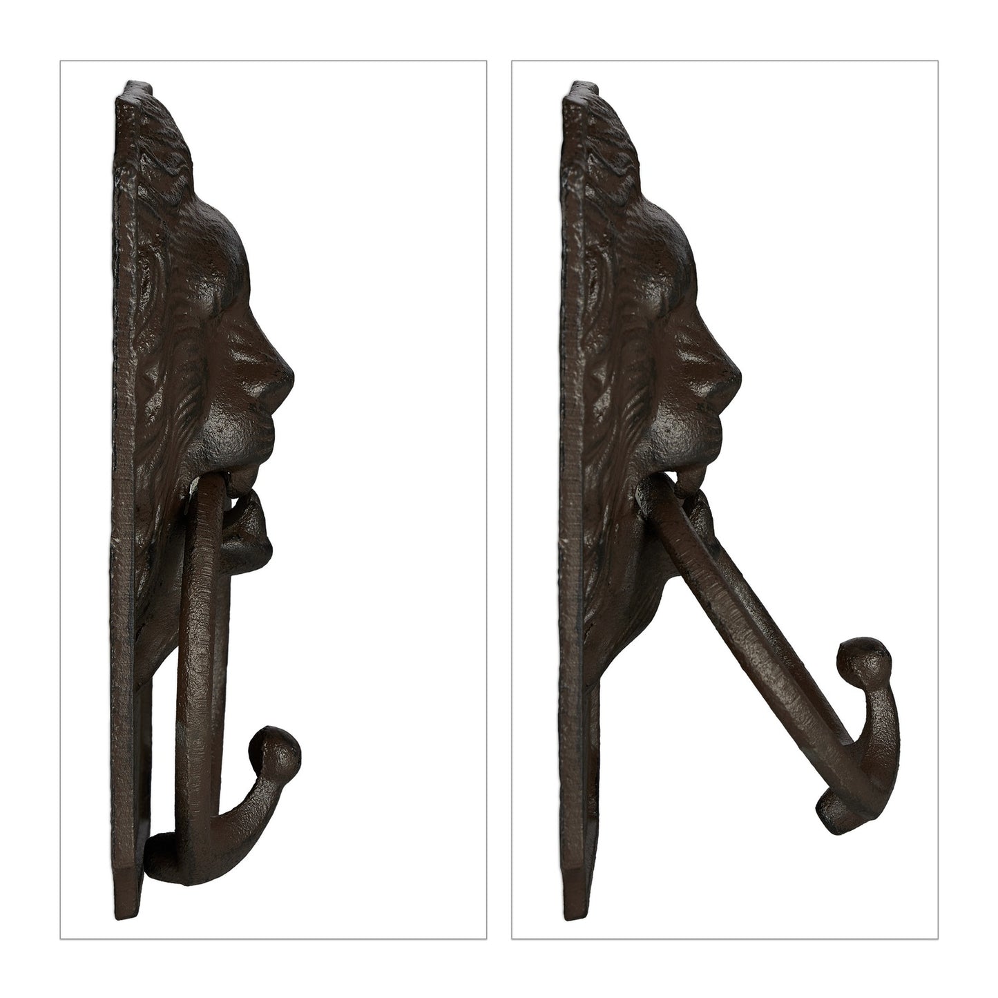 Door knocker lion