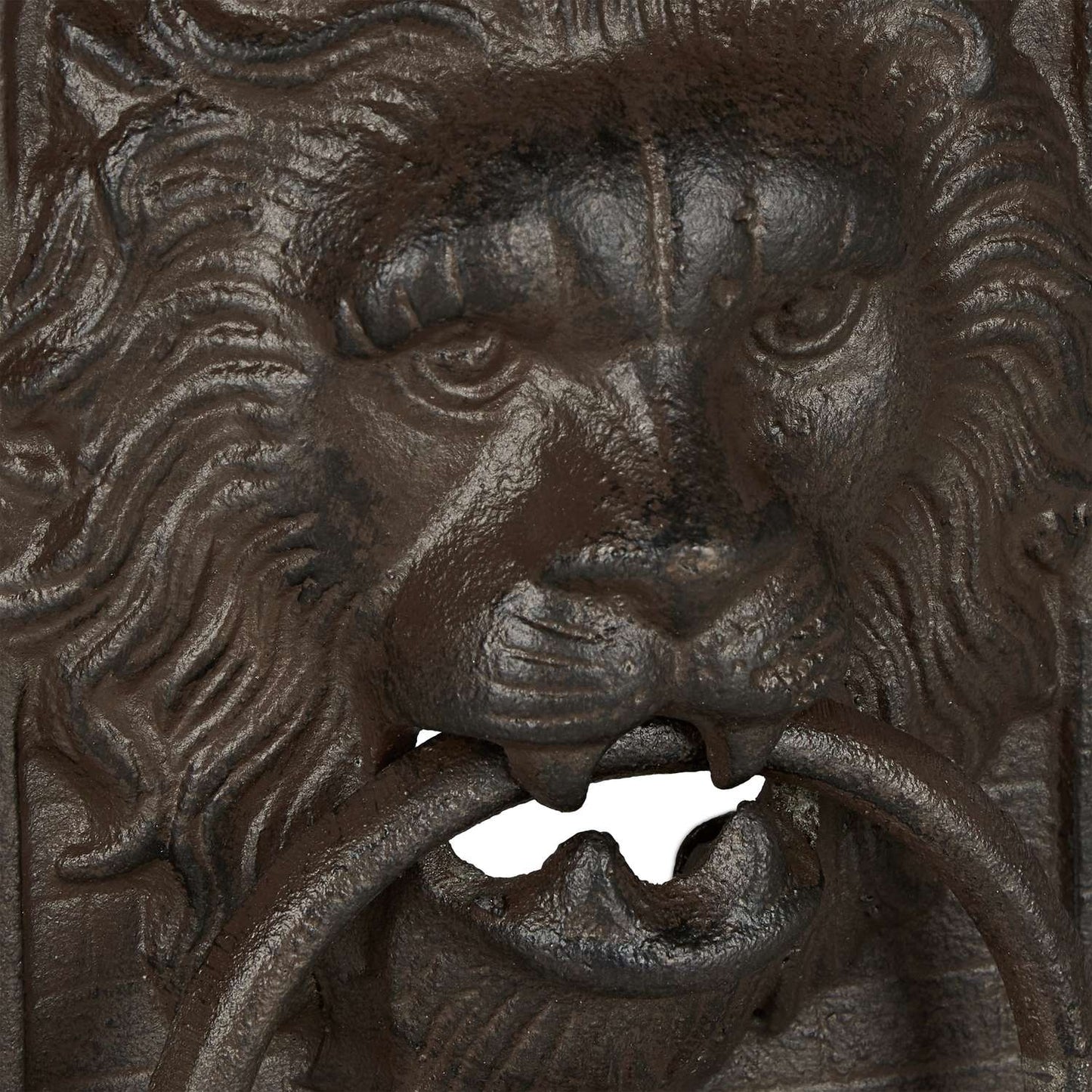 Door knocker lion