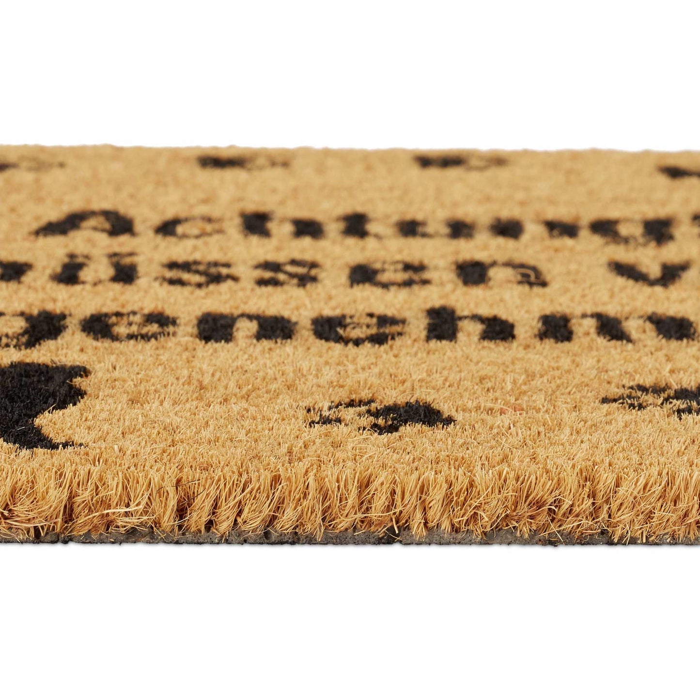 Doormat Coconut Cat