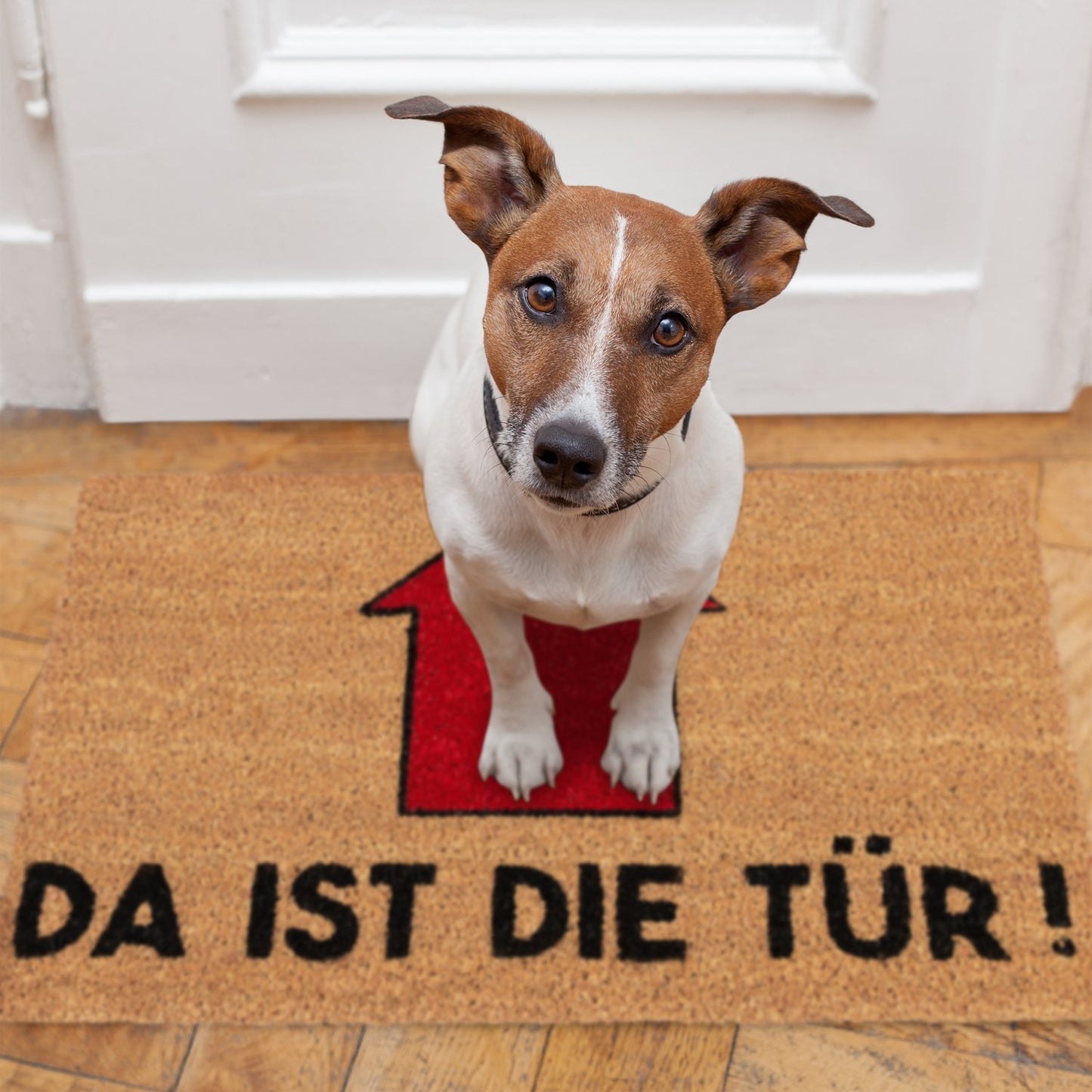 Doormat Saying There is the Door