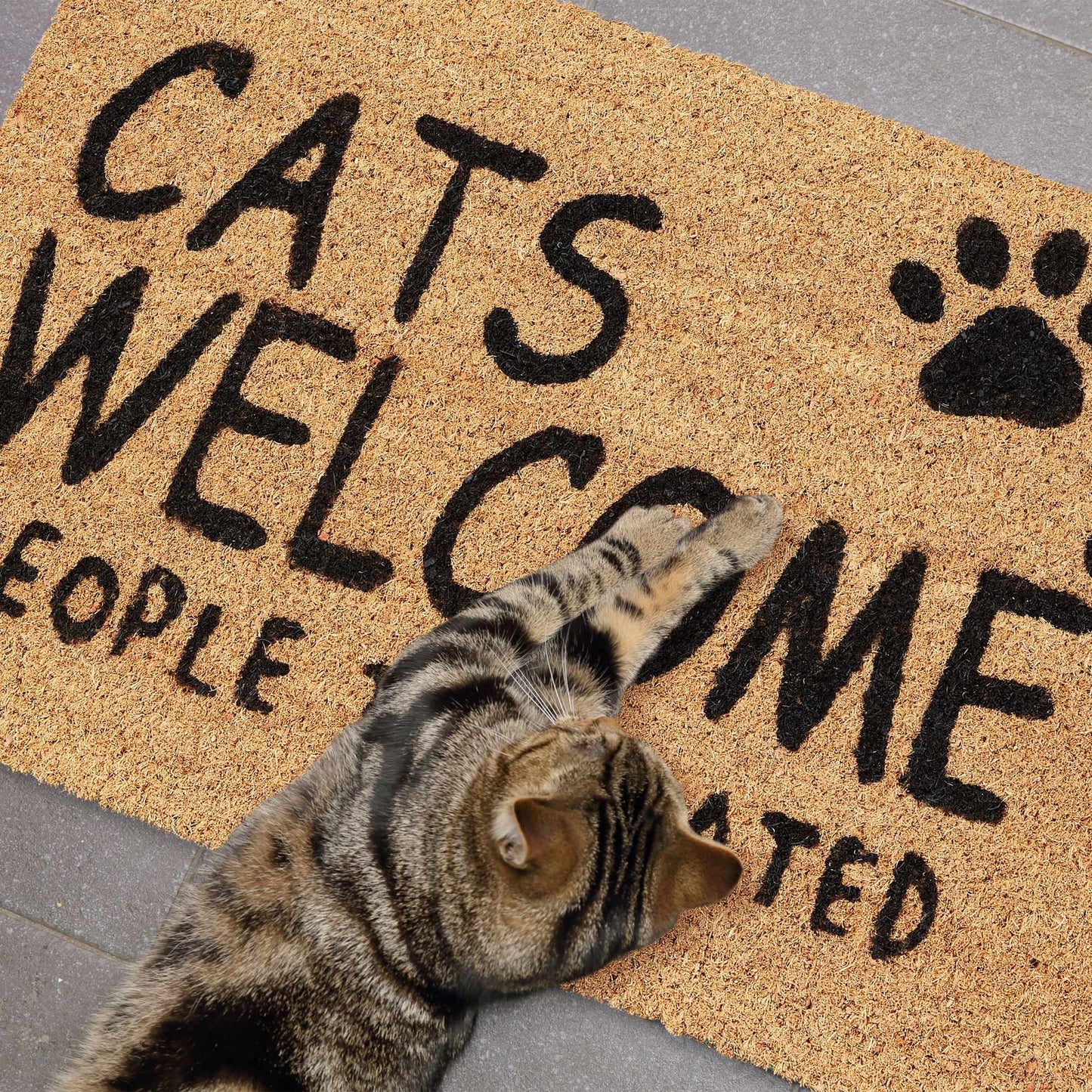 Door mat coconut fiber Cats Welcome