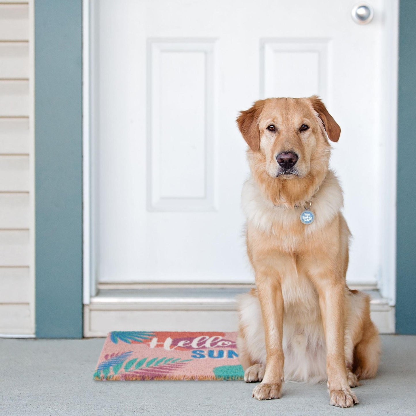 Door mat coconut fiber "Hello summer"