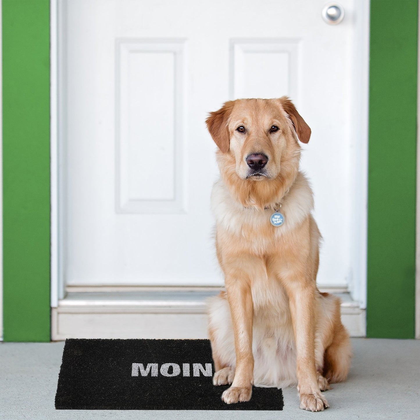 Doormat coconut fiber "Moin"