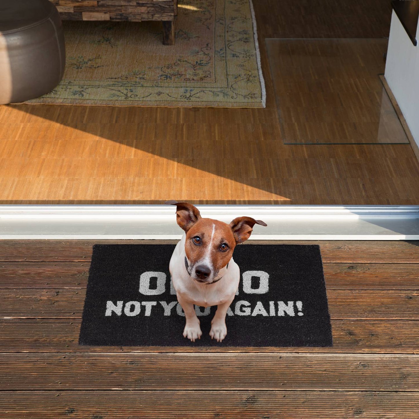 Door mat coconut fiber "Oh No ..."