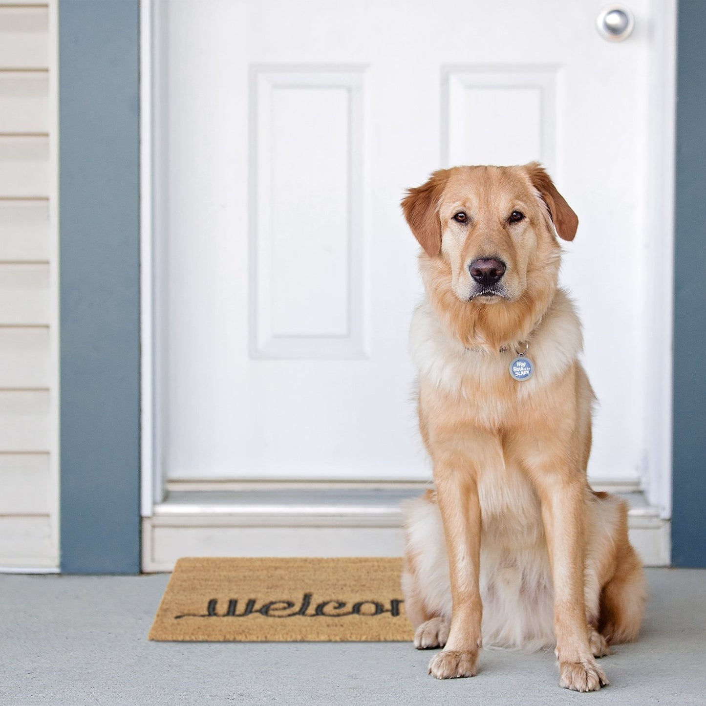 Door mat coconut fiber "Welcome"