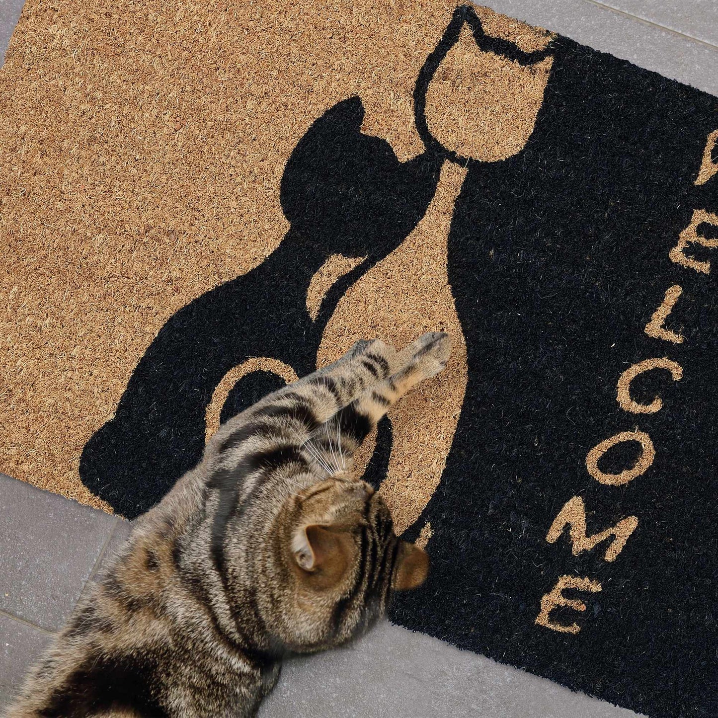 Door mat coconut fiber "Welcome" with cat