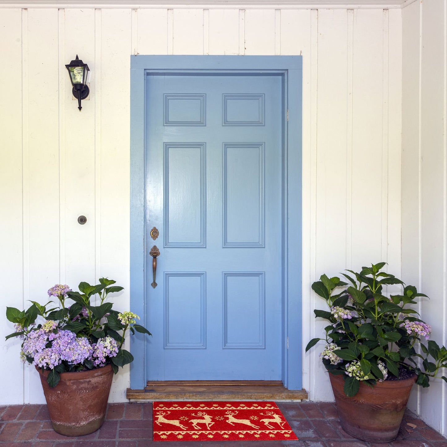 Doormat coconut fiber cleans & glitters
