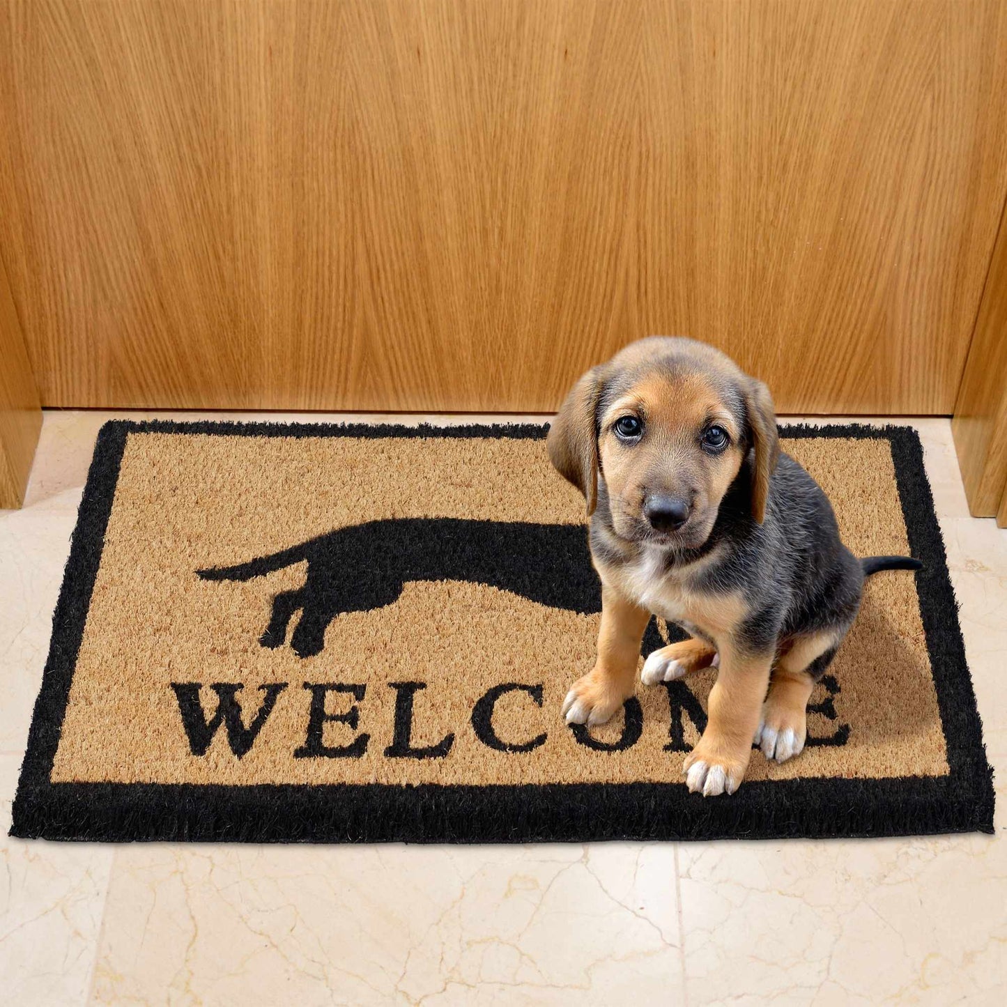 Door mat coconut fiber dachshund