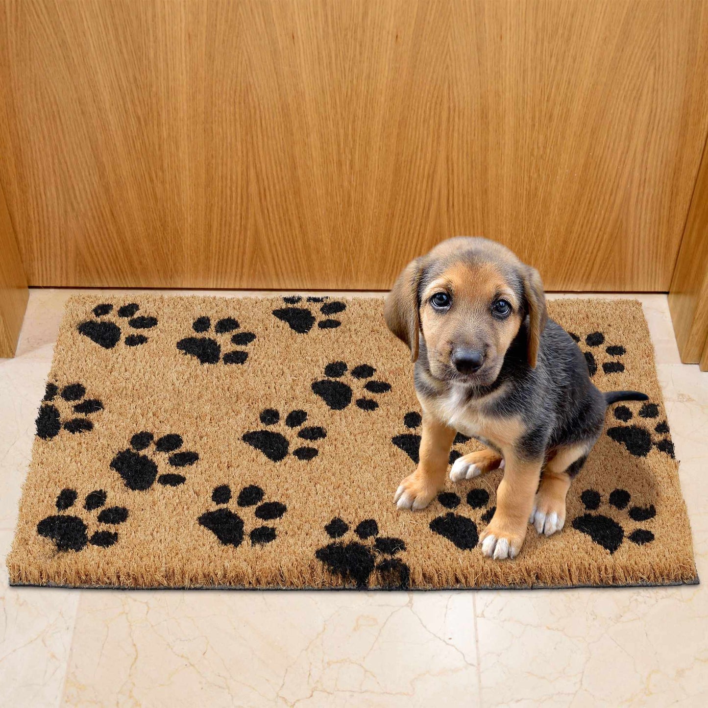 Doormat coconut fiber with paws