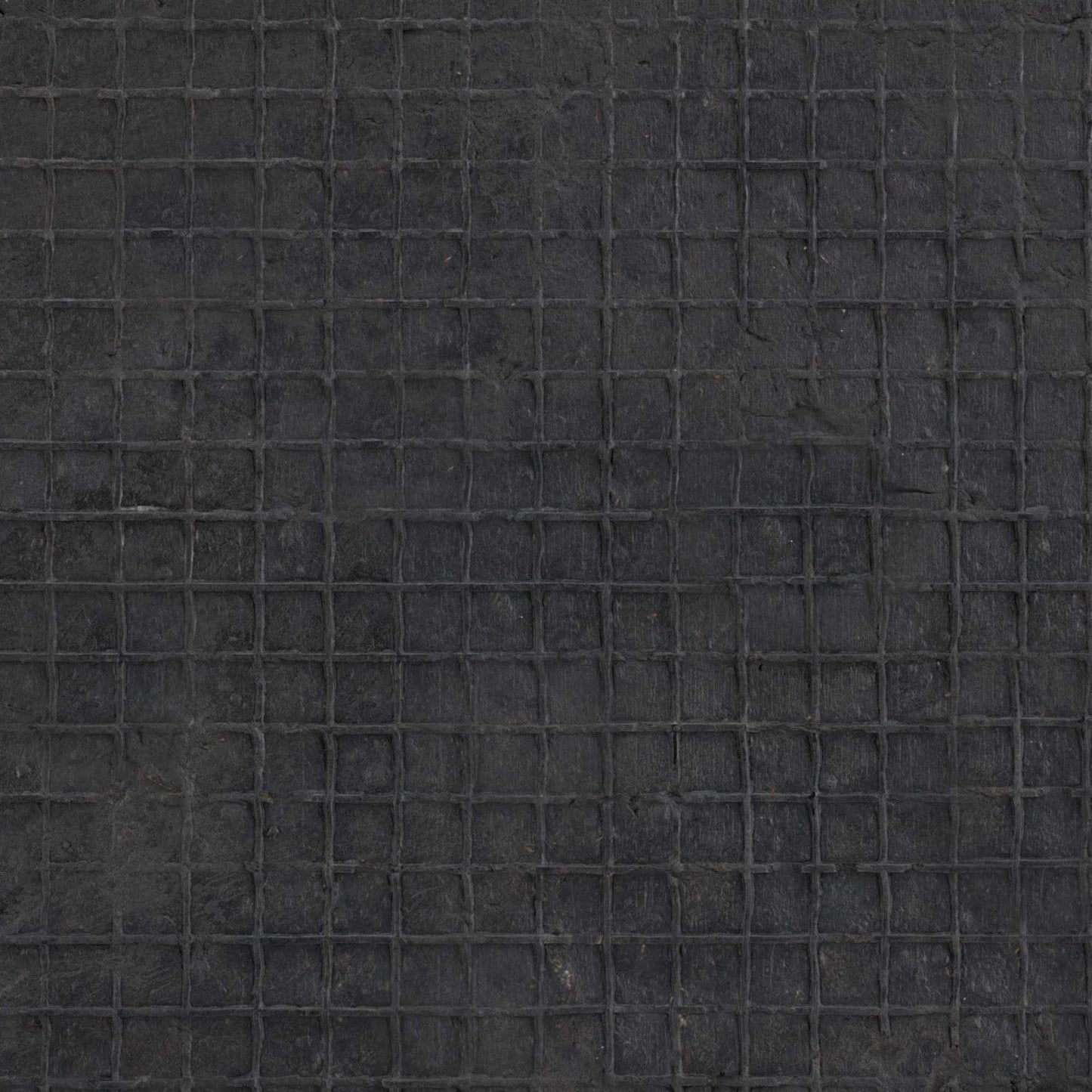 Door mat coconut semicircular 60x100 cm