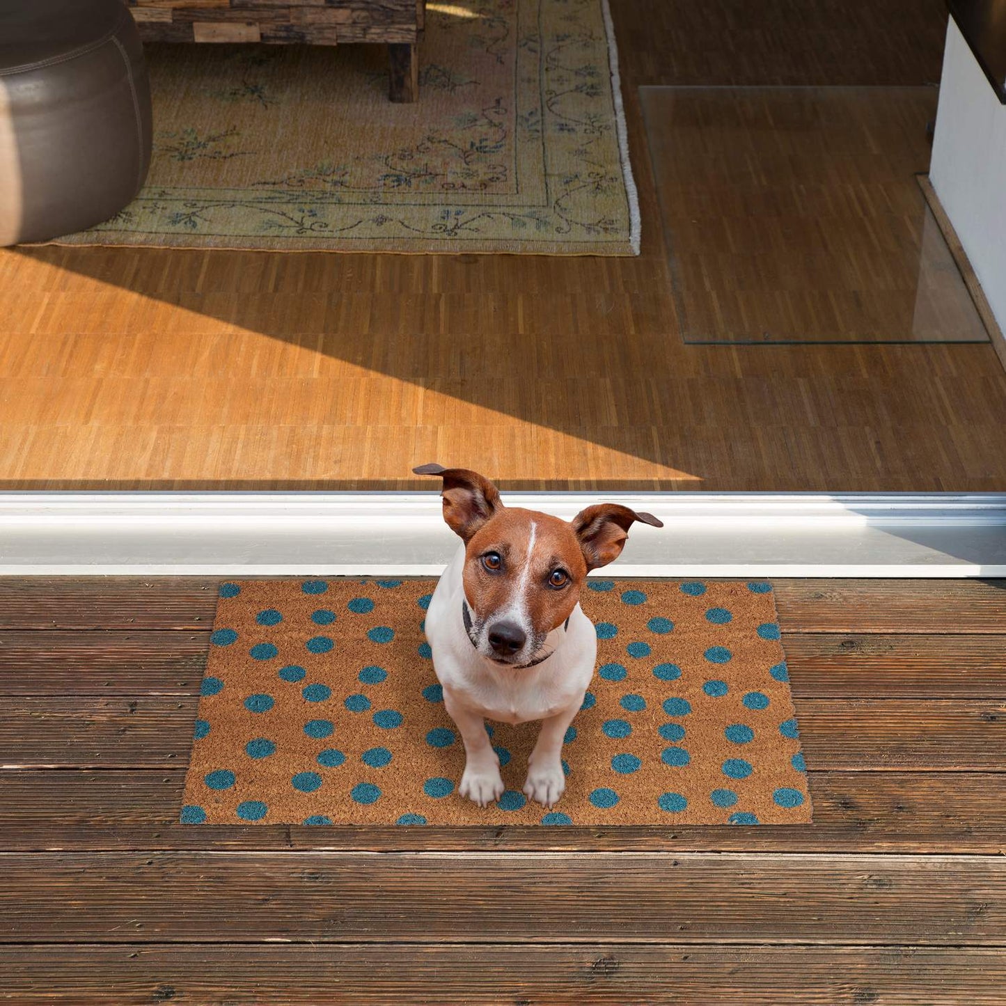Dotted coconut fiber doormat