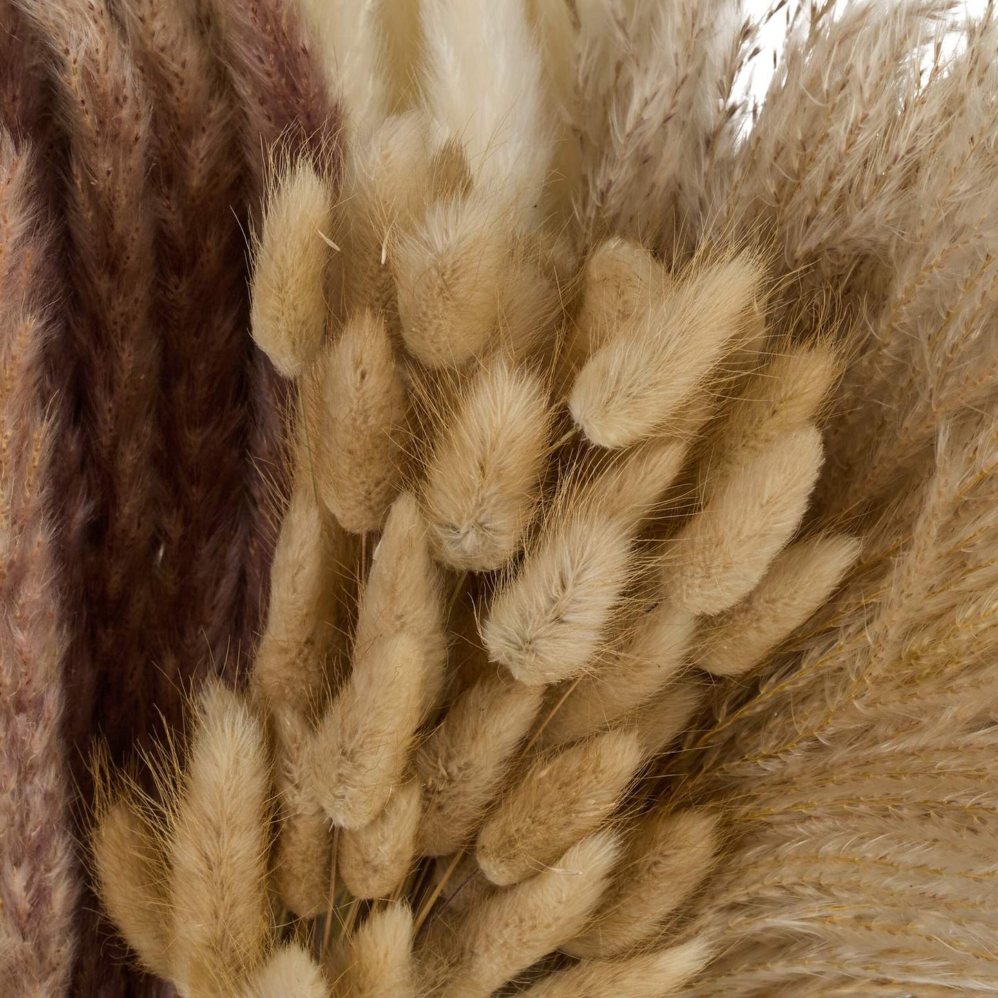Dried Pampas Grass Set, 144 Pieces – Boho Decor
