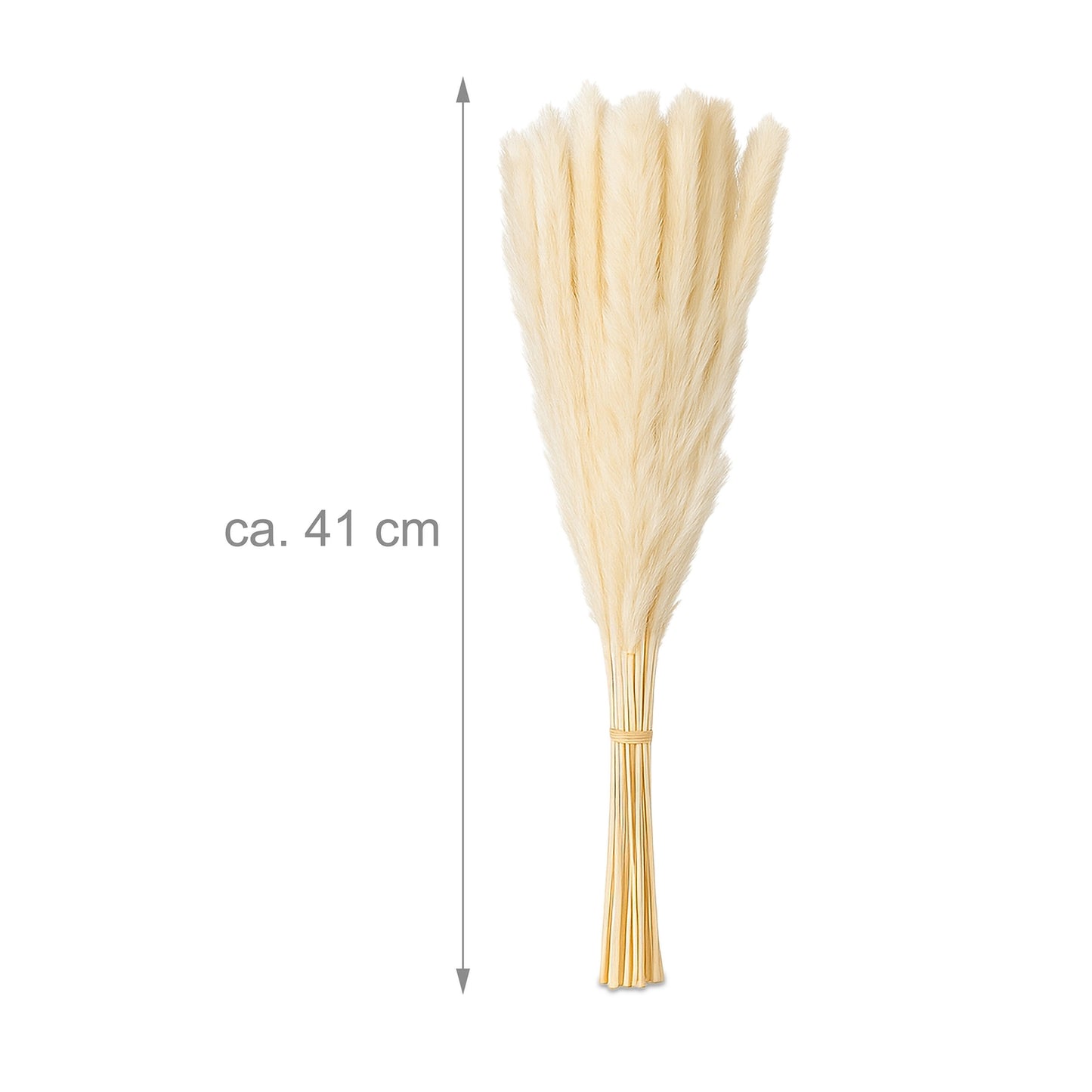 Dried Pampas Grass Set, 144 Pieces – Boho Decor