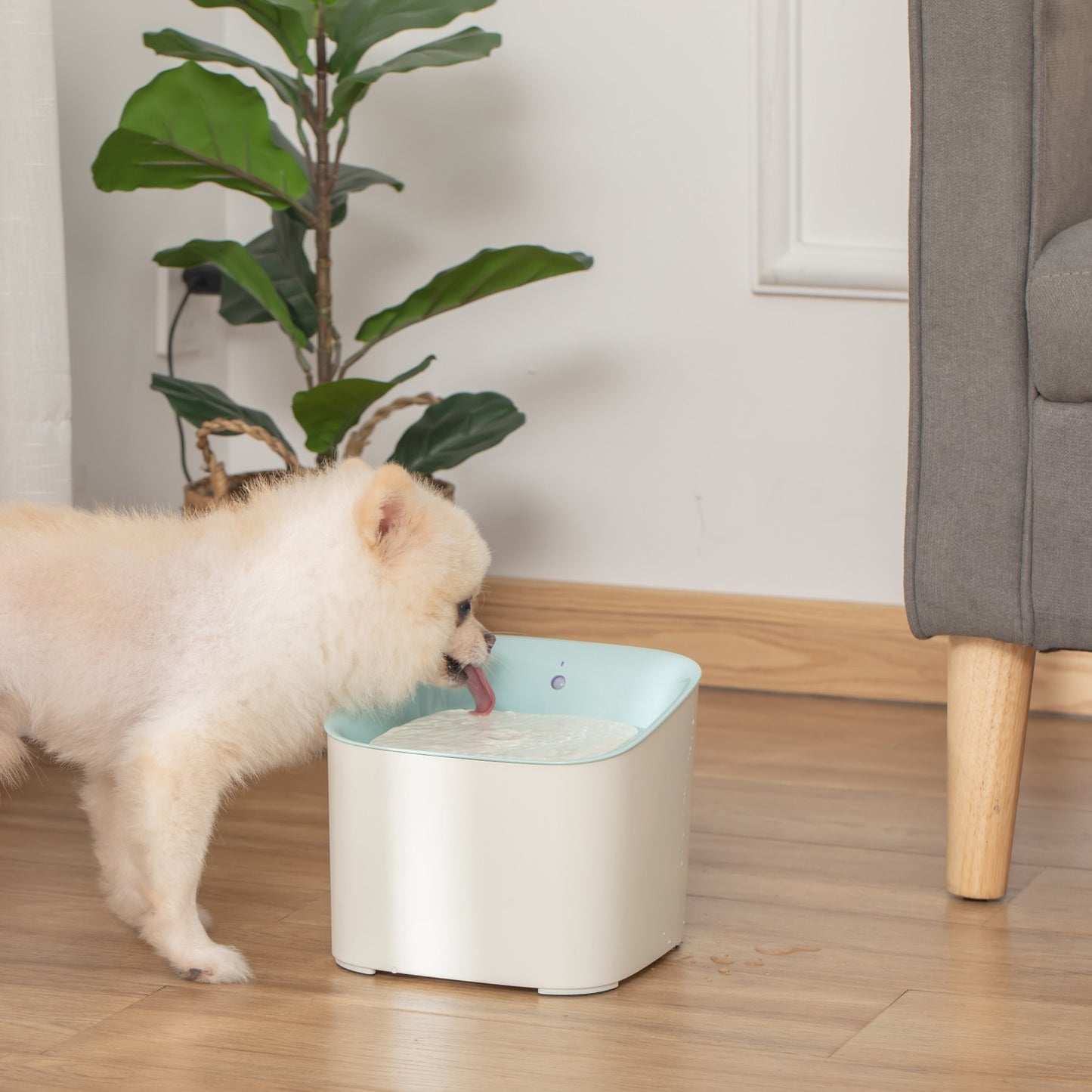 Automatic pet drinking fountain, 3L, infrared detection