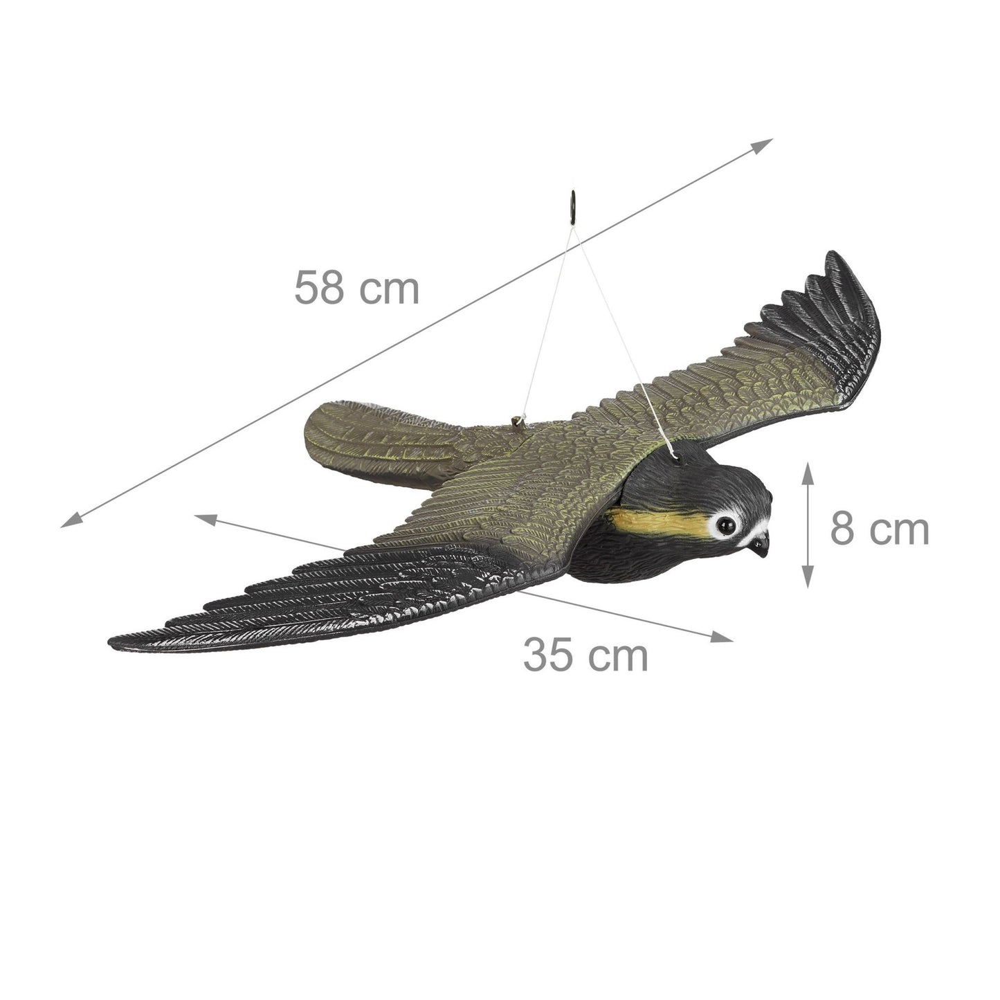 Dummy of raptor falcon