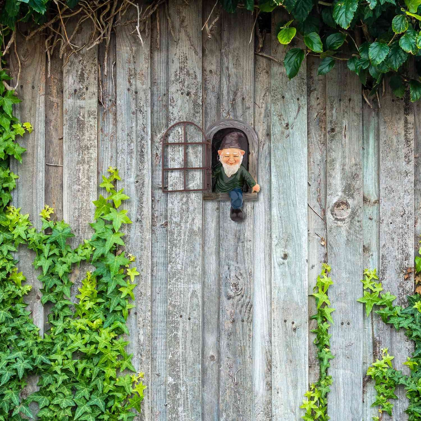 Dwarf with window