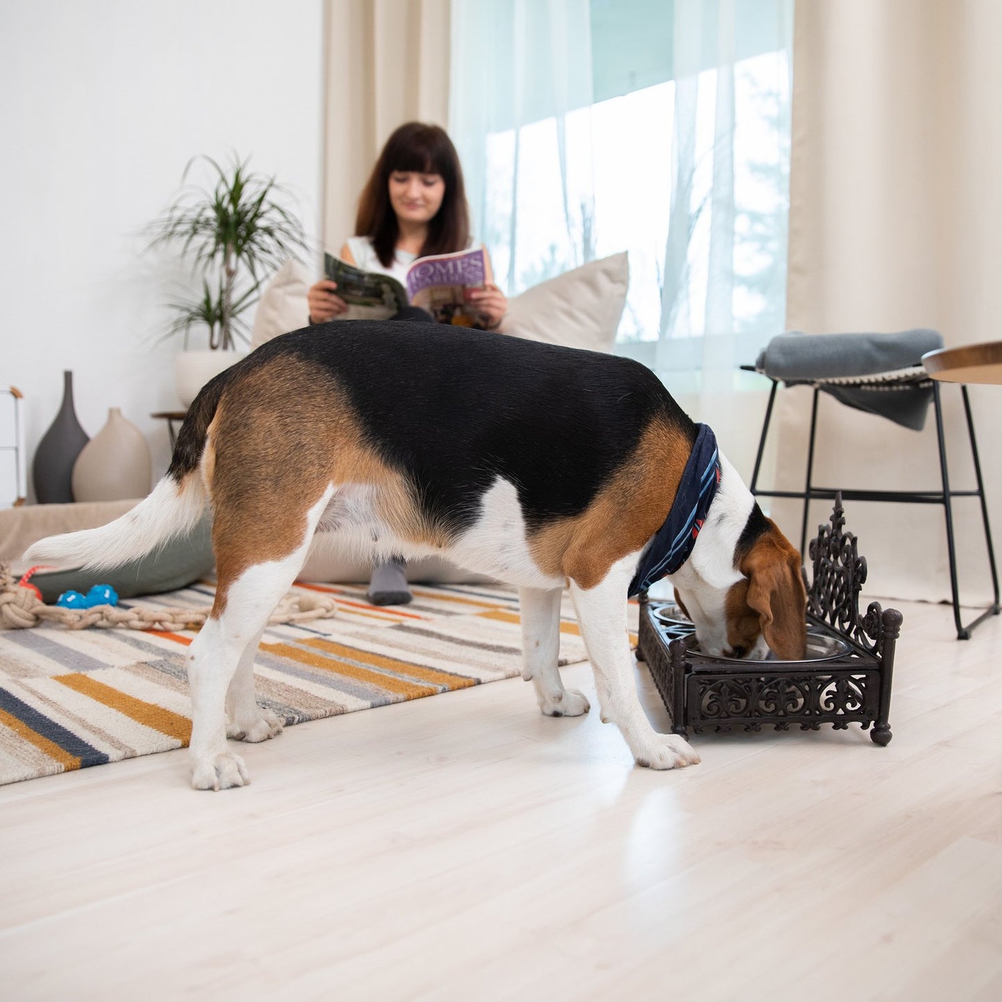 Edible cast iron for dogs