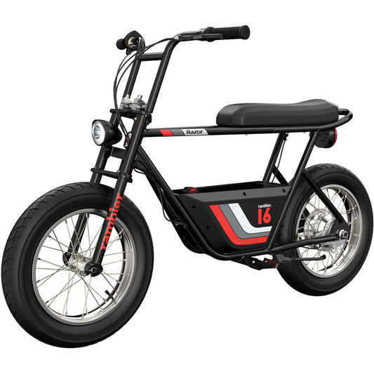 Electric Bike, 350W Motor, 25 km/h, 16"" Tires