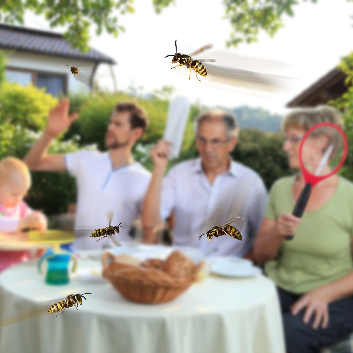 Electric fly swatter