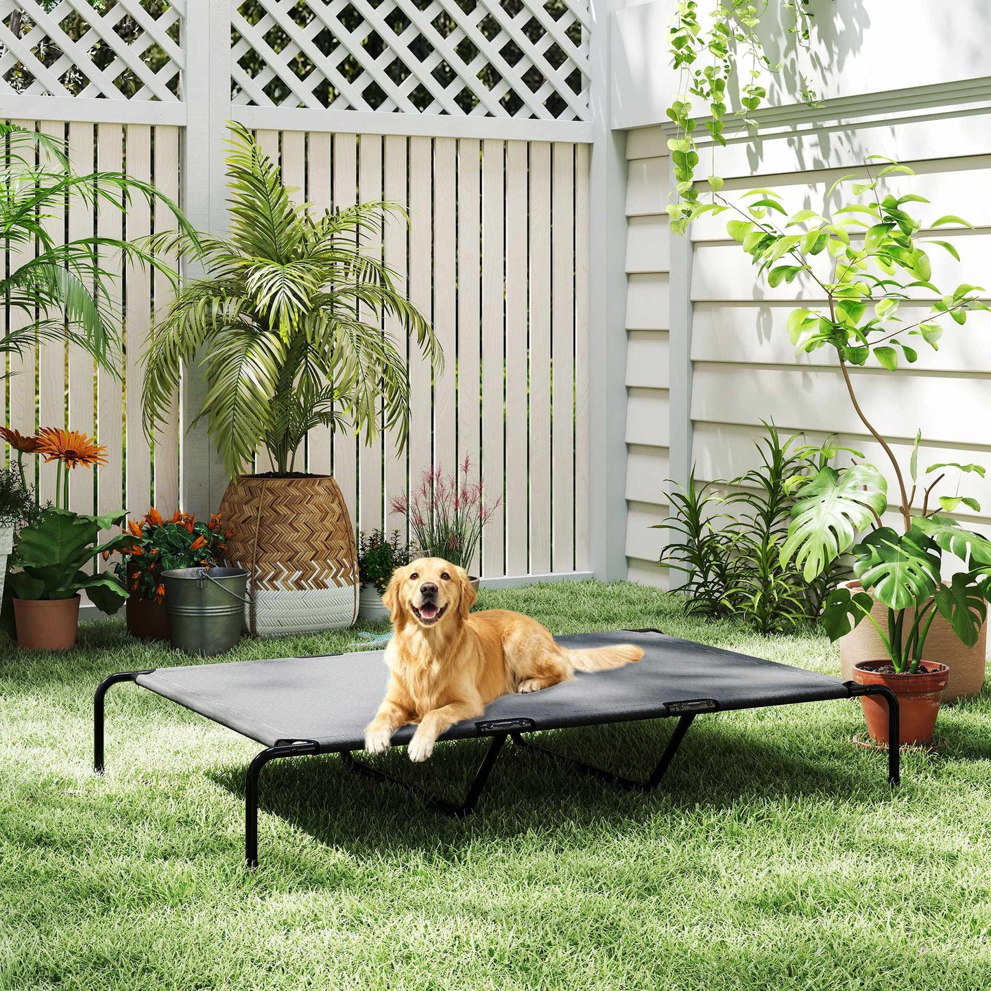 Elevated Outdoor Dog Bed, Large, Breathable Mesh, 23cm High