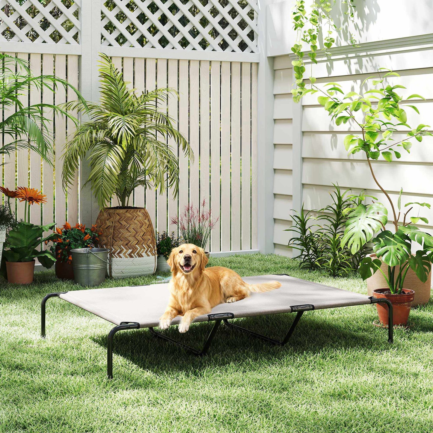 Elevated Outdoor Dog Bed, Large, Mesh, 23cm High