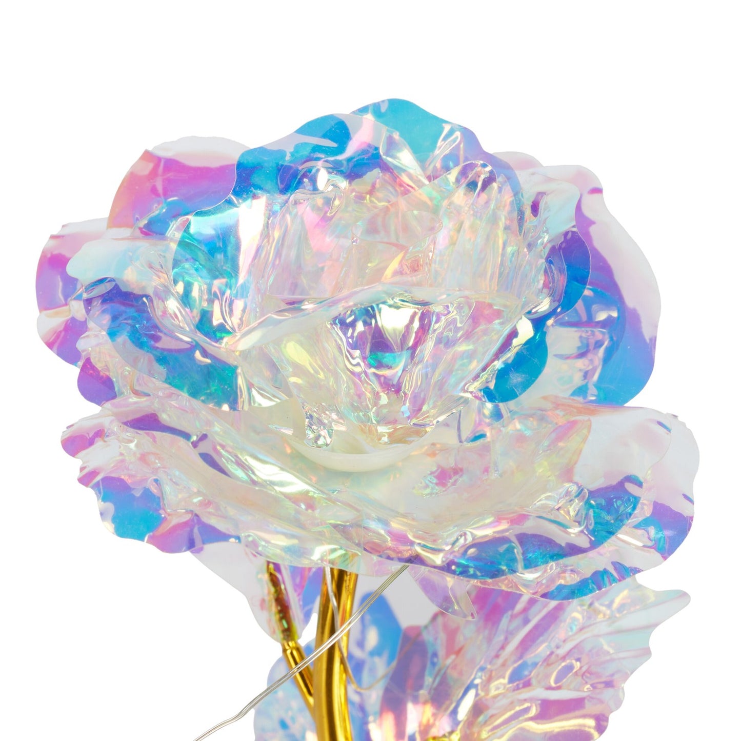 Eternal rose in a glass