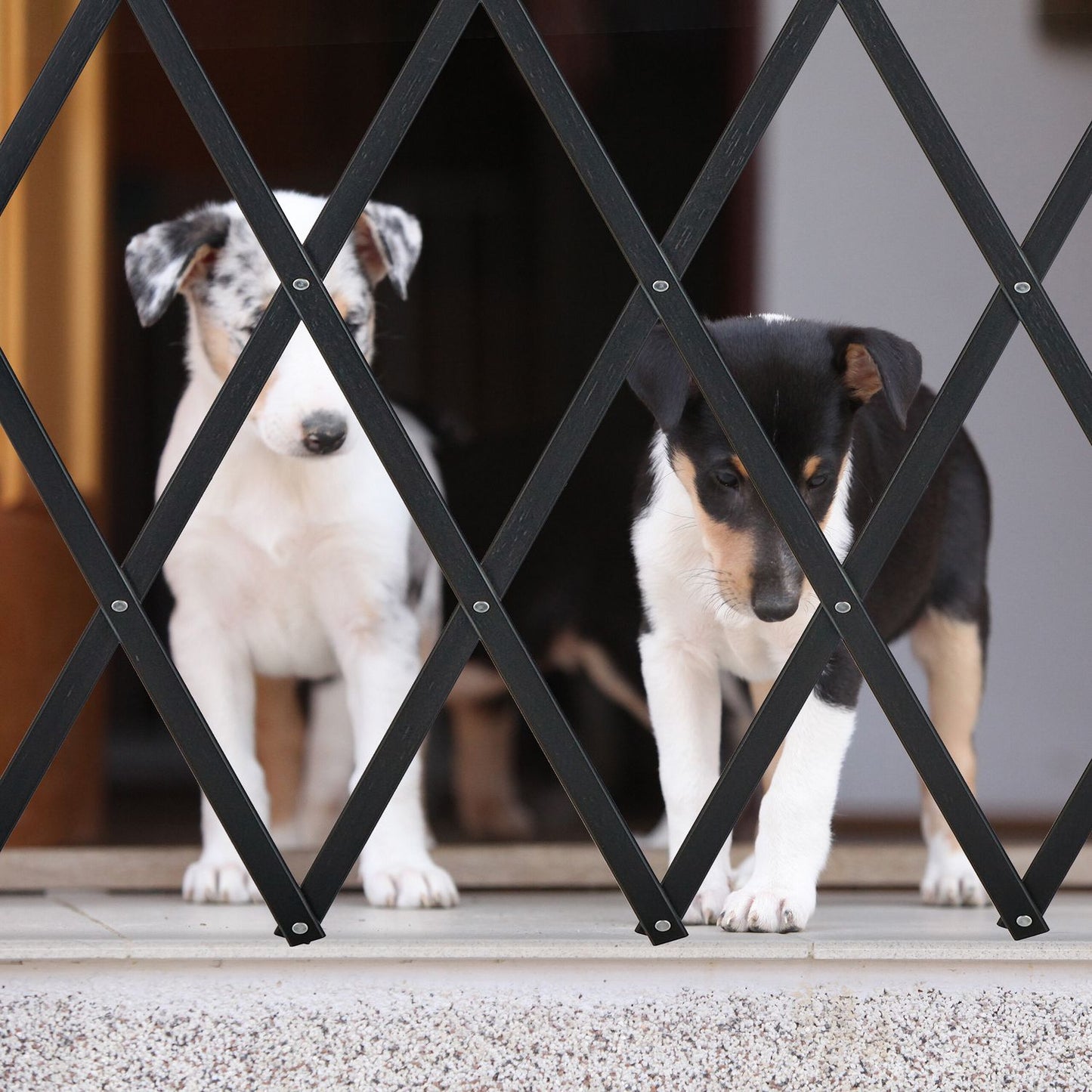Extendable Dog Barrier, Natural Bamboo