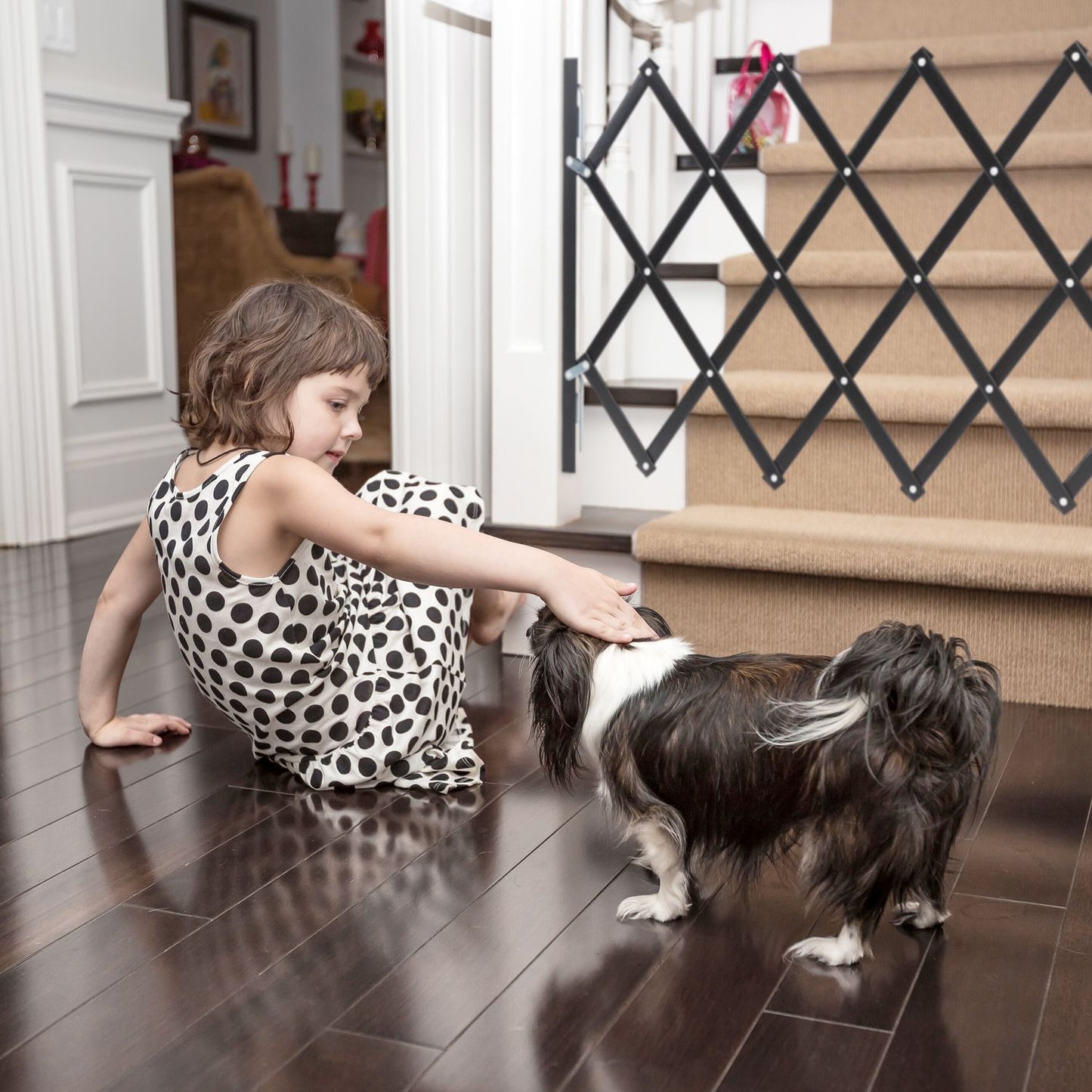 Extendable Dog Barrier in Black