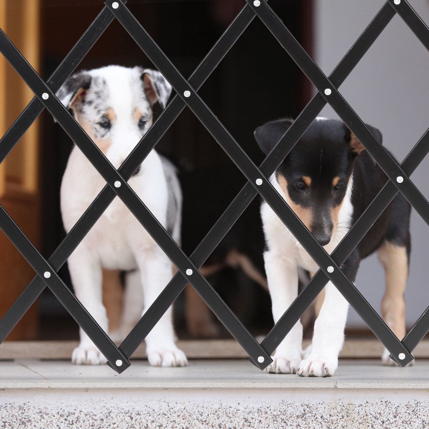 Extendable Dog Barrier in Black