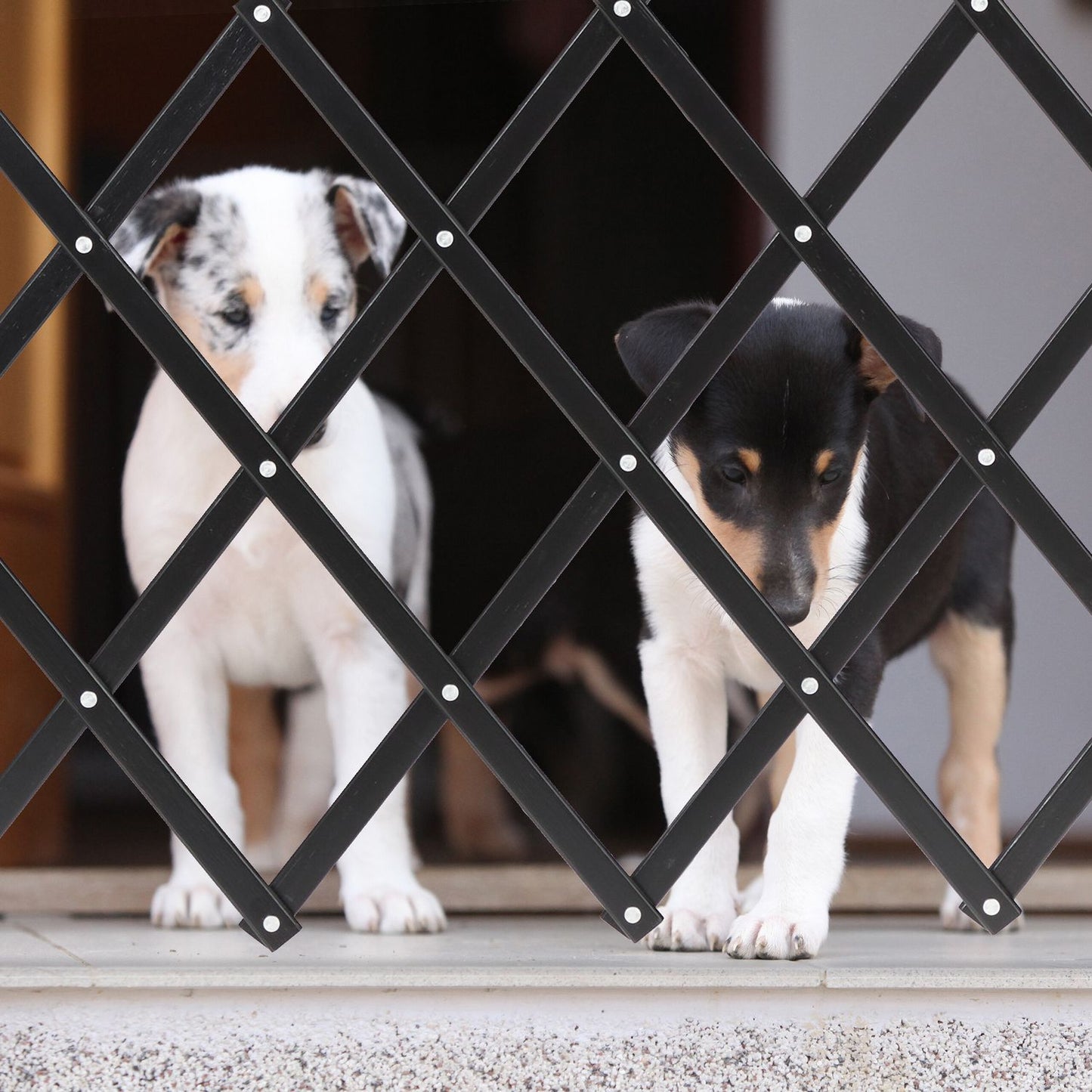 Extendable Dog Barrier in Black
