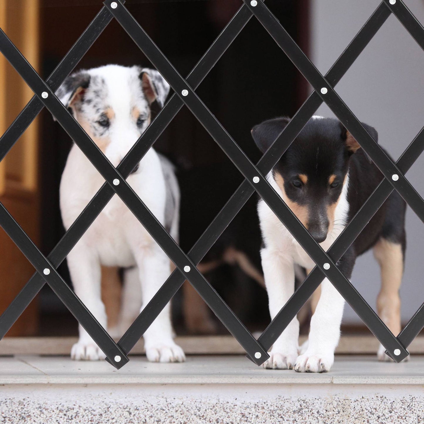 Extendable Dog Barrier in Black