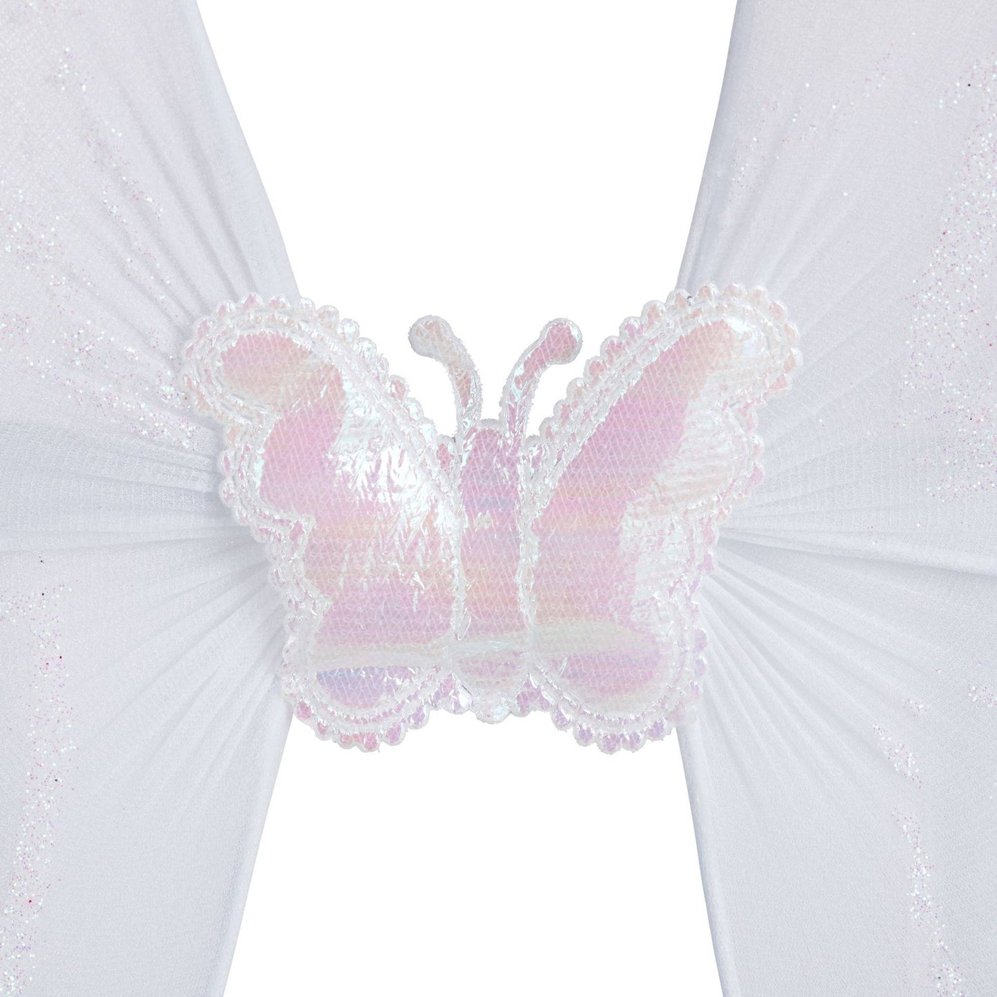 Fairy wings with wand