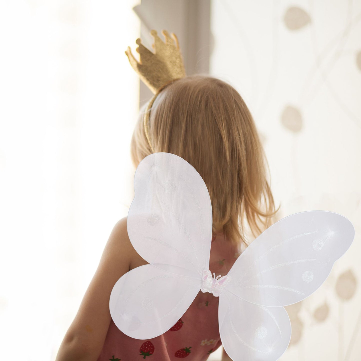 Fairy wings with wand