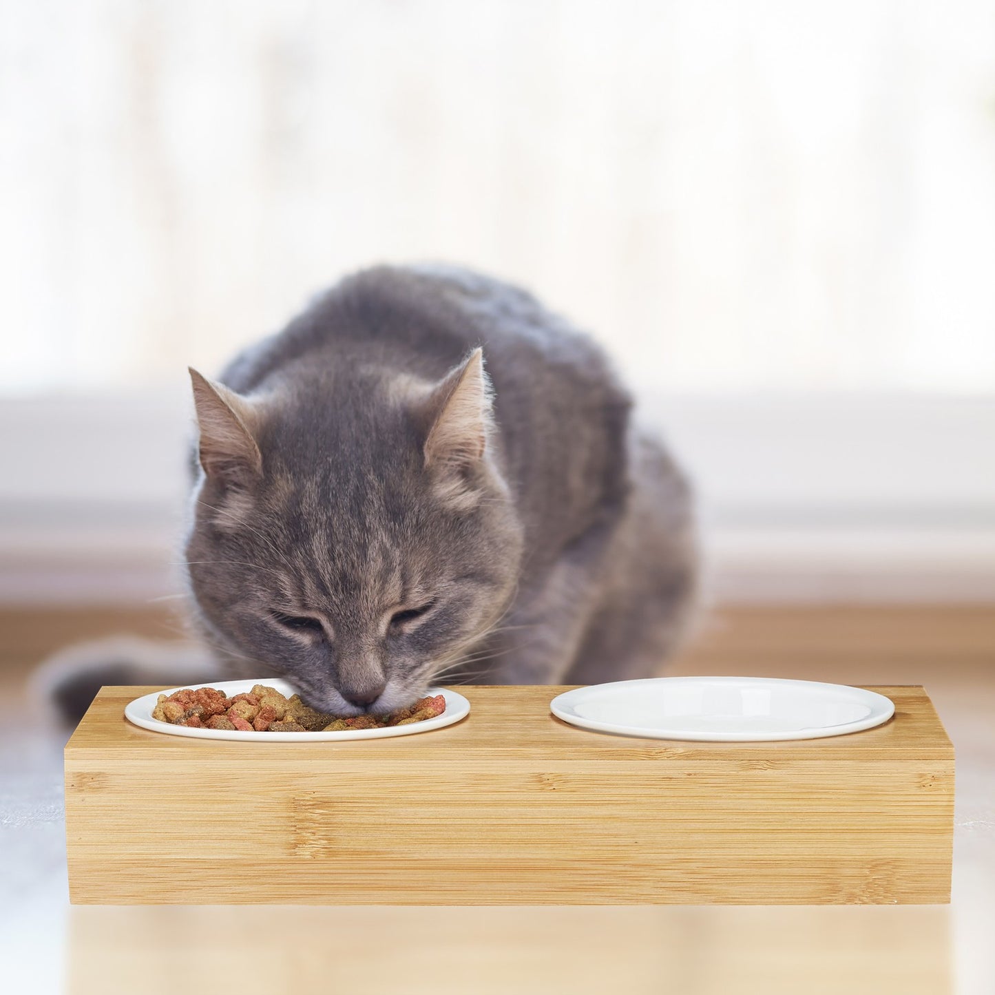 Feeding Station with Ceramic Bowls