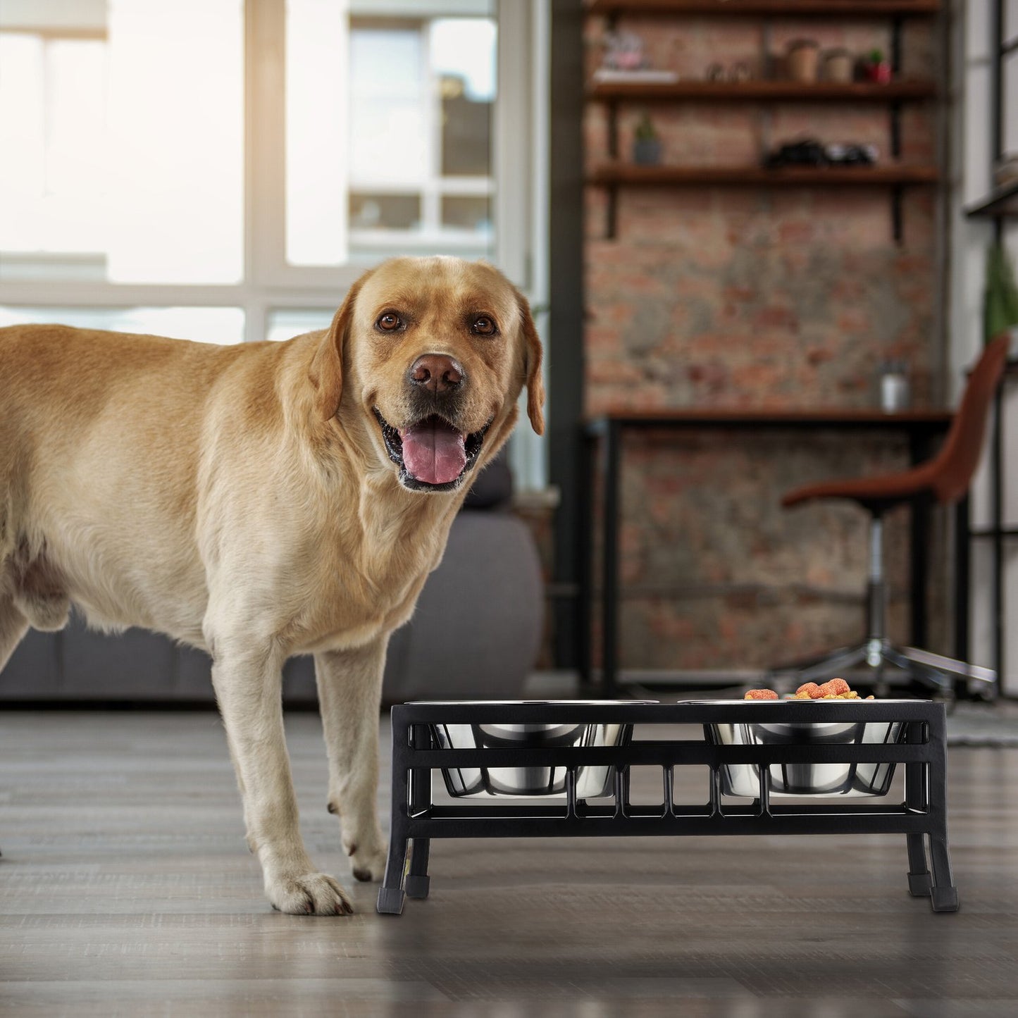 Feeding station for dogs