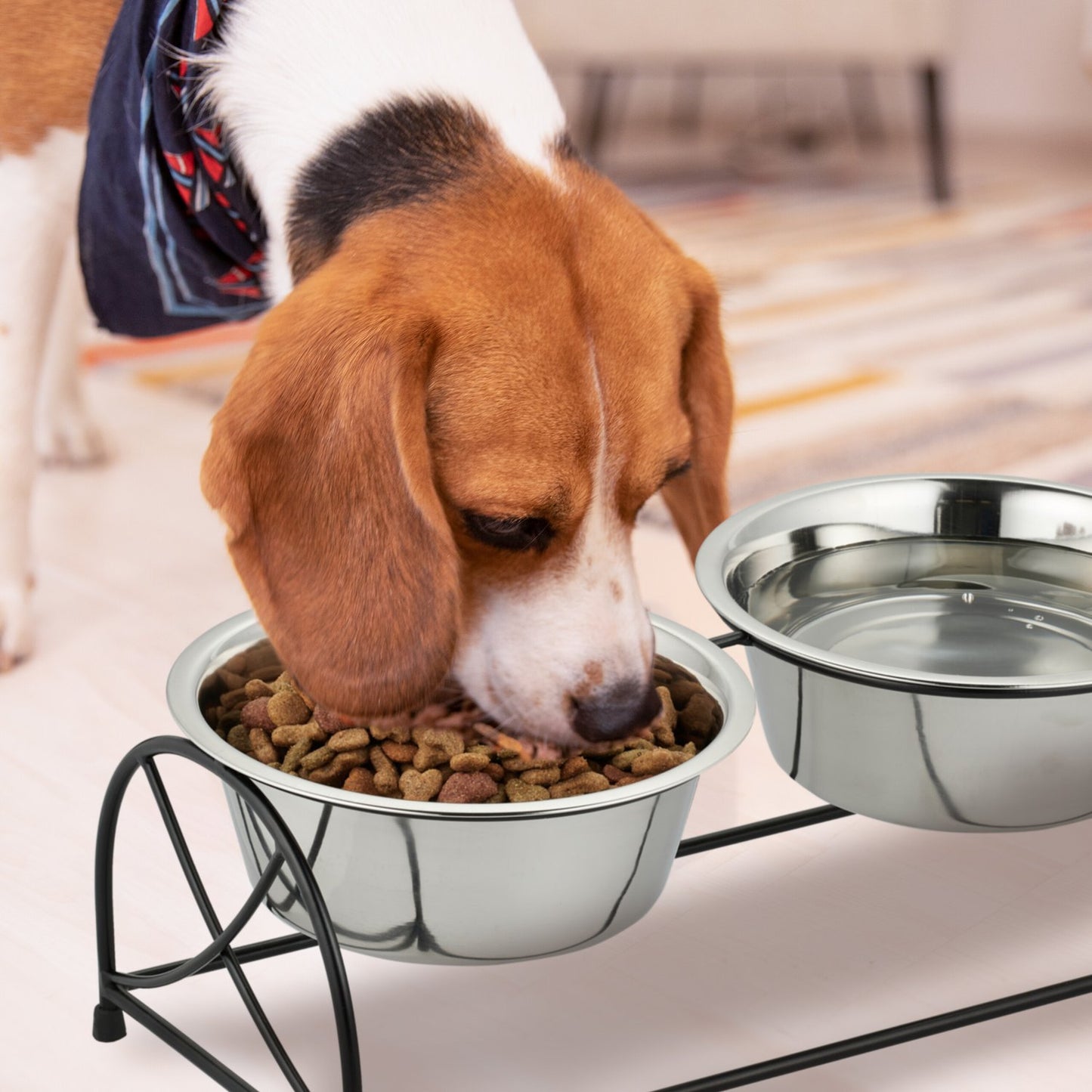Feeding station for dogs