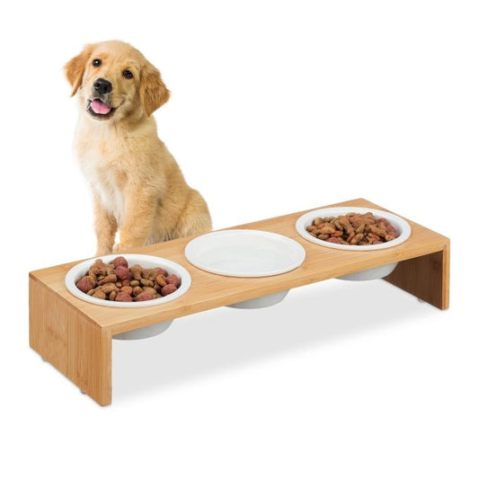 Feeding station for dogs