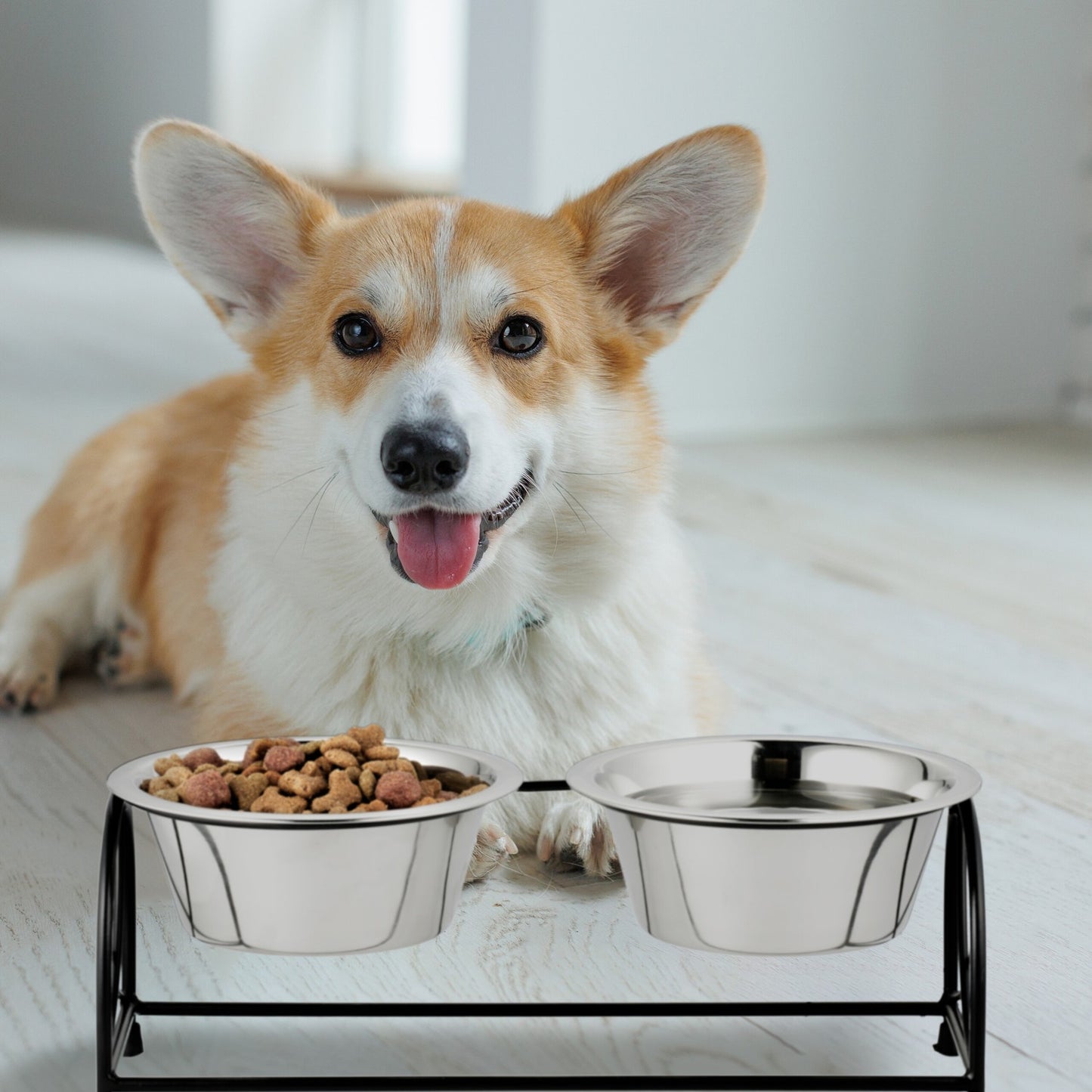 Feeding station for dogs