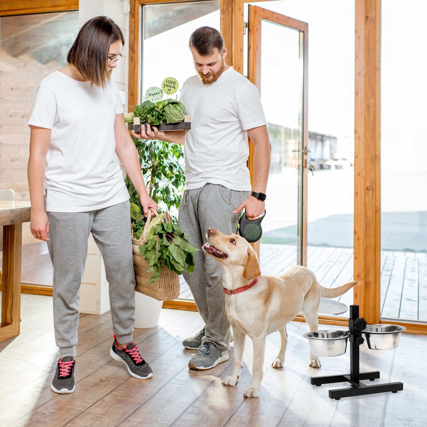 Feeding station for dogs can be raised and lowered