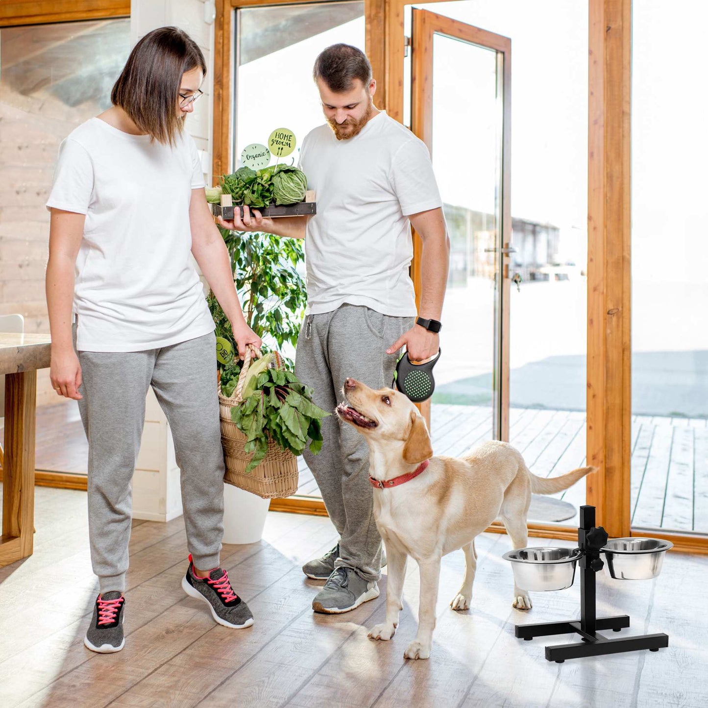 Feeding station for dogs can be raised and lowered