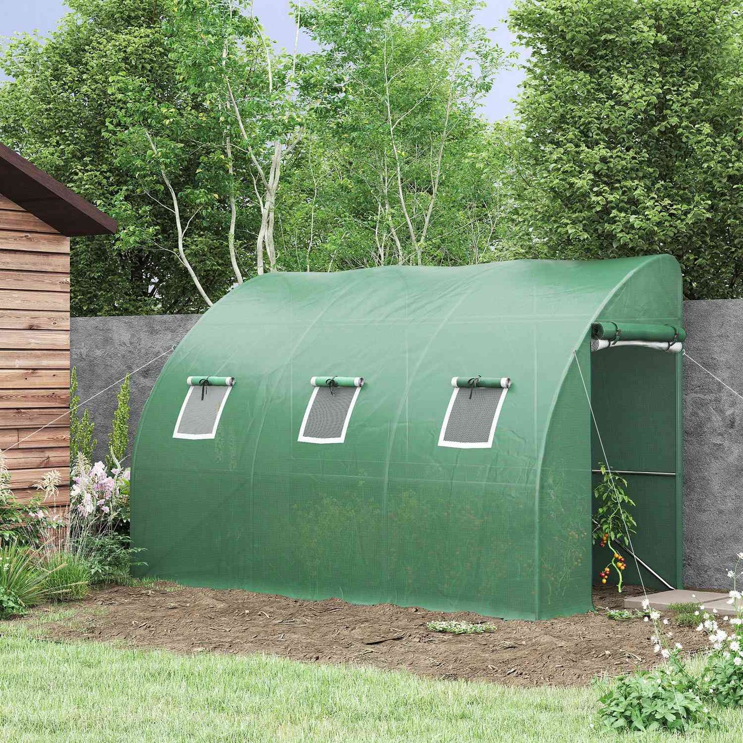 Tomato greenhouse with UV protection, roller doors, 300x150x197 cm