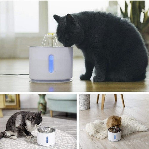 Filter for the fountain / drinker - 6 pcs. Purlov 21597