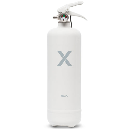 Fire extinguisher White 1kg 8A