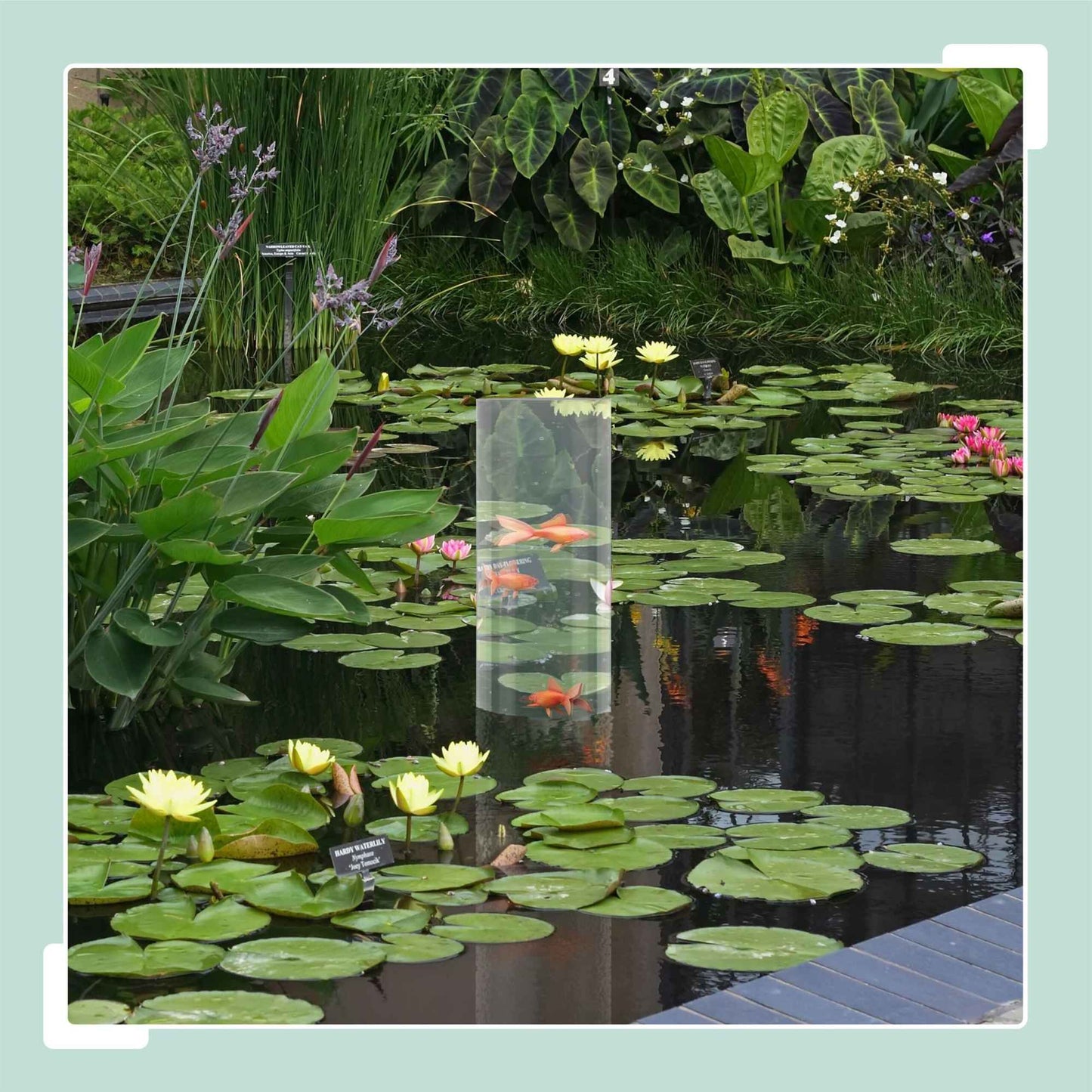 Fish Observation Column for Ponds, UV-Stable Acrylic
