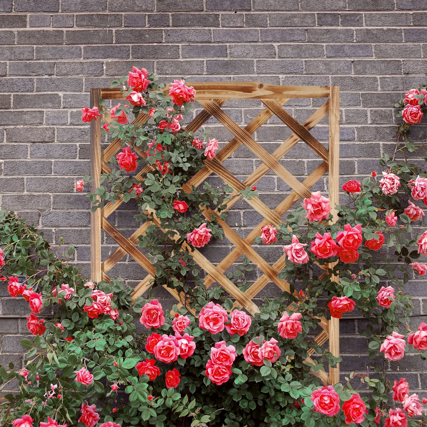 Flamed Planter Box with Trellis