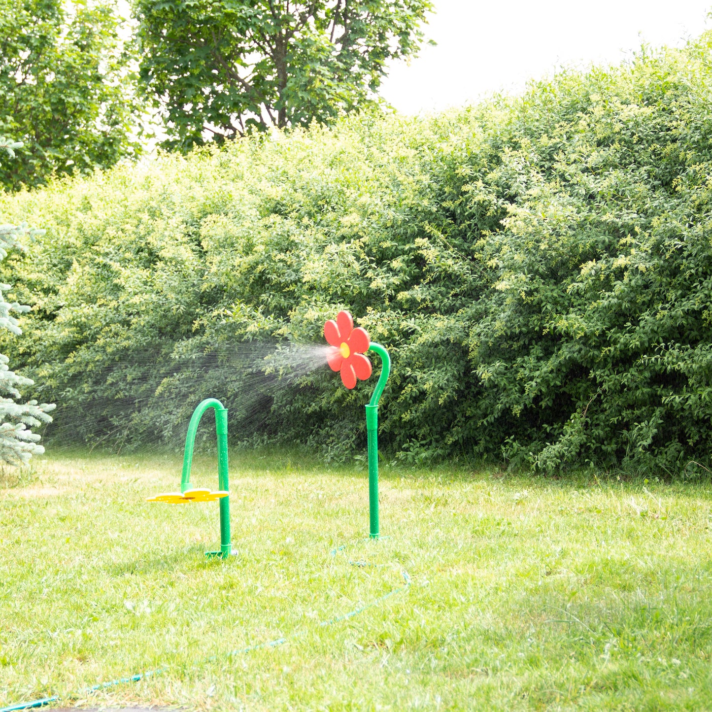 Flower Sprinkler Set of 2