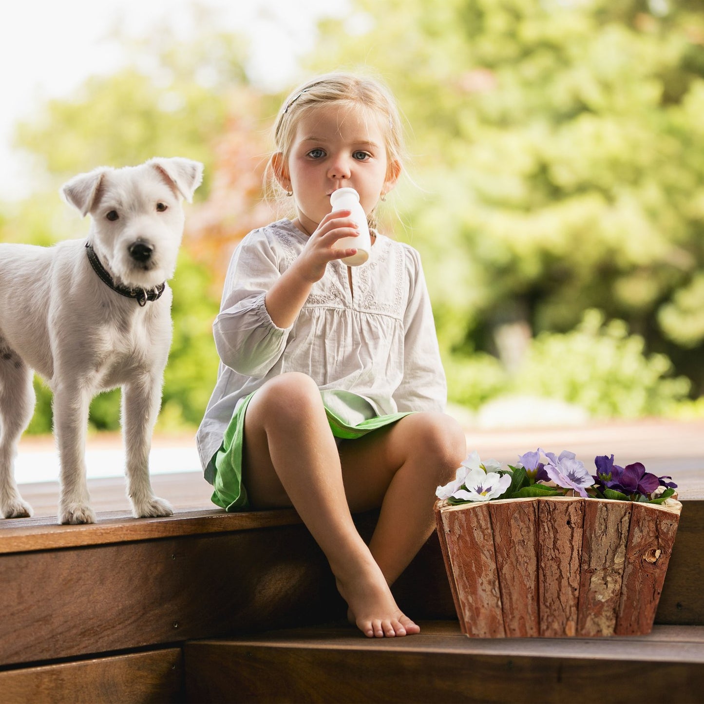 Flower box Wood Set of 3